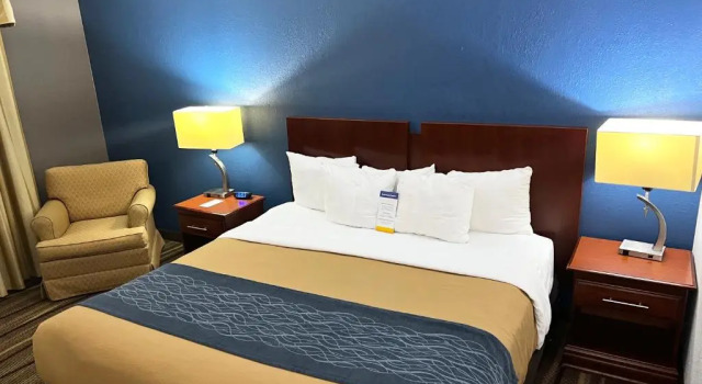 Номер Standard Comfort Inn Alpharetta-Atlanta North