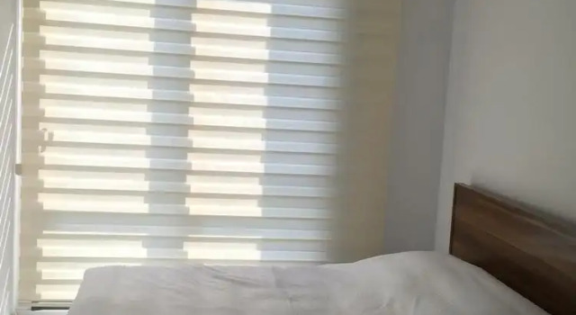 Люкс Comfort c 1 комнатой Urgancioglu Apart
