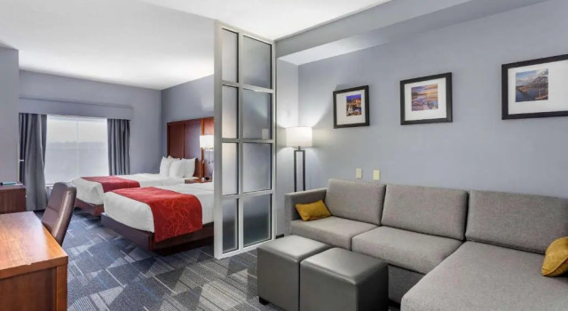 Четырёхместный номер Standard Comfort Suites Olive Branch - Memphis South