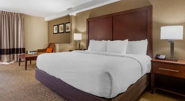 Двухместный люкс Comfort Inn & Suites near Danville Mall