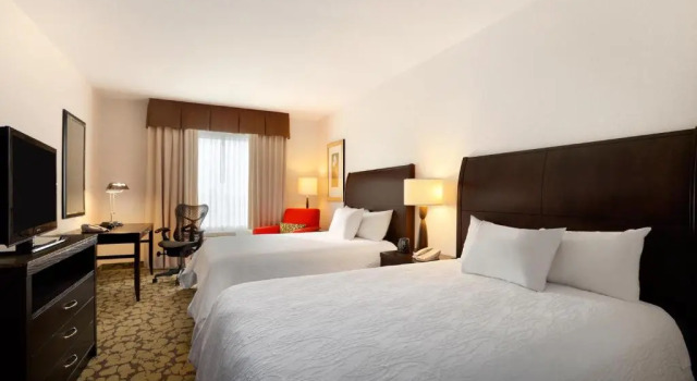 Четырёхместный люкс с 2 комнатами Hilton Garden Inn Edmonton International Airport