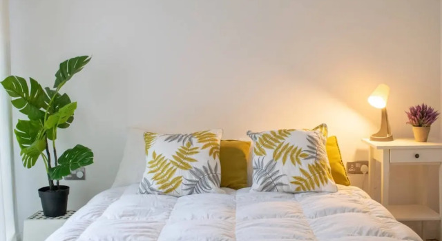 Beautiful And Cosy 1 Bed Flat in Stoke Newington