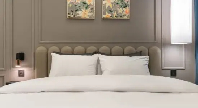 Люкс Royal Bundang (Yatap Station) Breeze Hotel