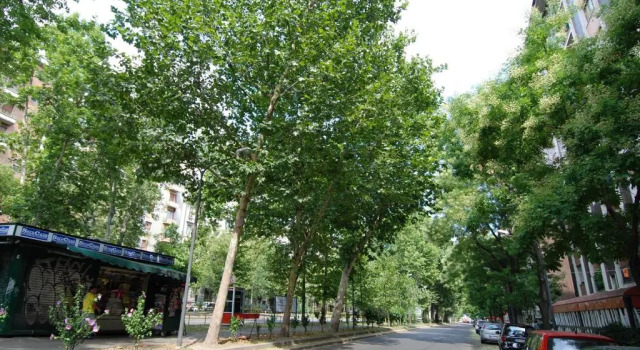 Corsica Halldis Apartments, Book Apartment Milan Lombardy