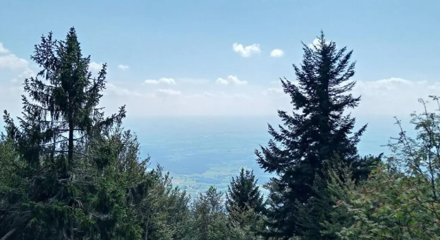 Апартаменты WALDFEE