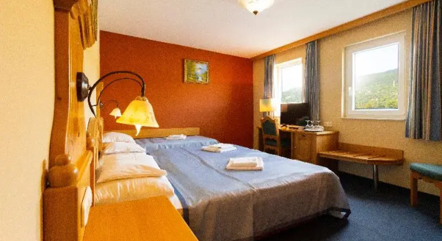 Номер Standard Aquamarina Hotel Visegrád