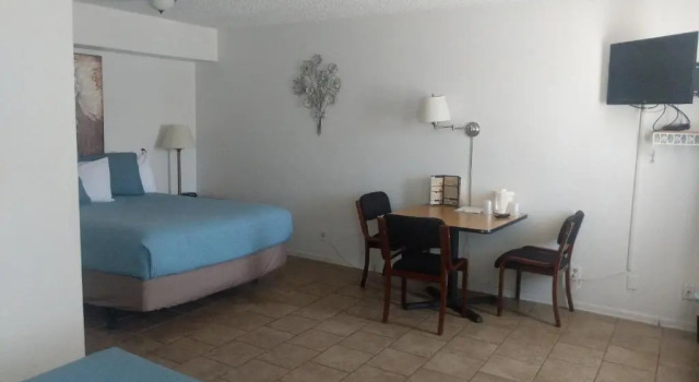 Номер Standard Little Daisy Motel