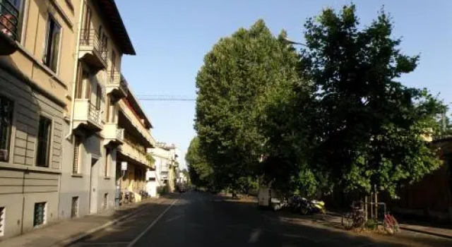 Bed  Breakfast lOlivo, Prenota Hotel Lungarno del Tempio Firenze