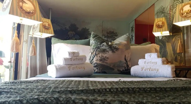 Номер Standard LE FORTUNY - 3 Suites, 2 apparts, 1 chambre - proche TRAM ligne aéroport et parking gratuit