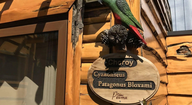 Cabañas Pewma Futrono, Réserver Hôtel Futrono Los Rios