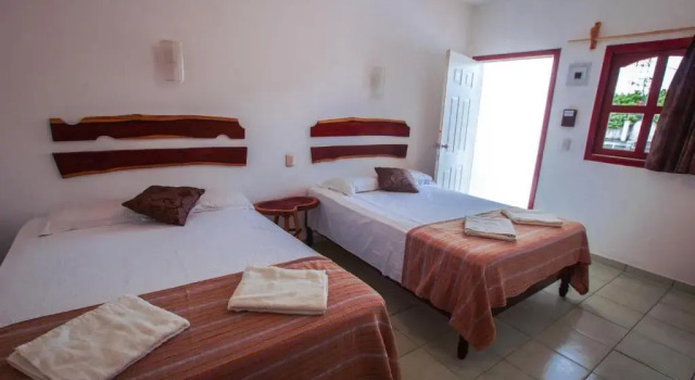 Четырёхместный номер Standard Hotel el Manglar