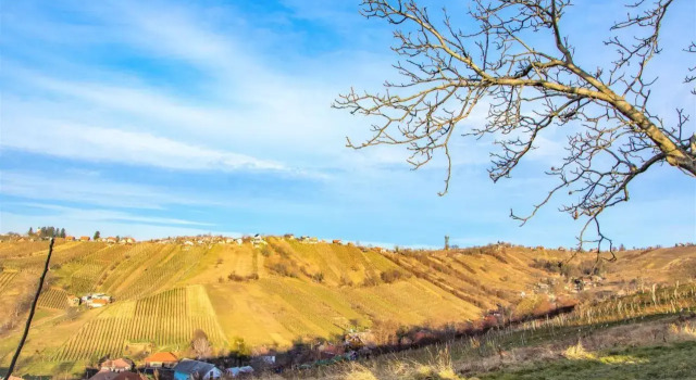 Vinska klet Smej, Buchen Sie Hotel Lendava Pomurje