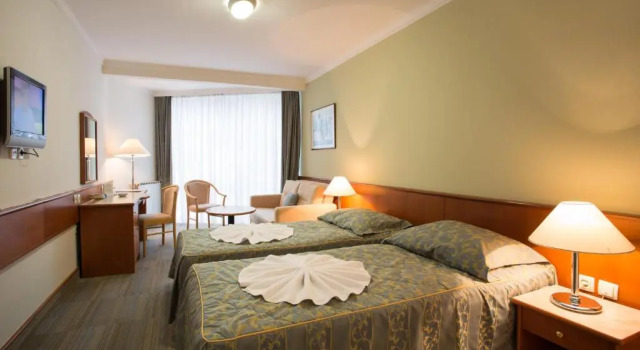 Двухместный номер Comfort Hotel Zdravilisce - Thermana Lasko