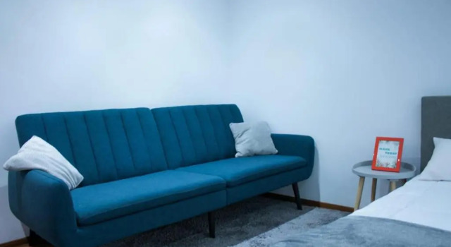 Апартаменты Vlad's Downtown Apartment