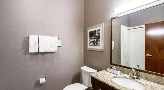 Standard- værelse MainStay Suites Madison - Monona