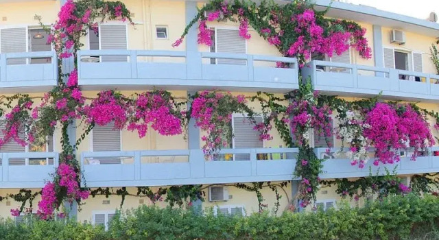 Michel Apartments, Забронировать Апартаменты/квартира Амудара Центральный Крит