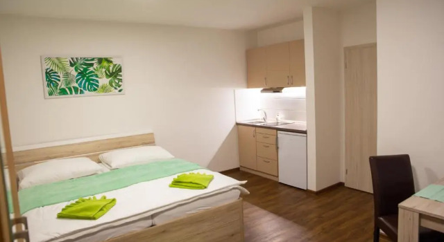 Апартаменты Standard Apartmány AAALIPNO