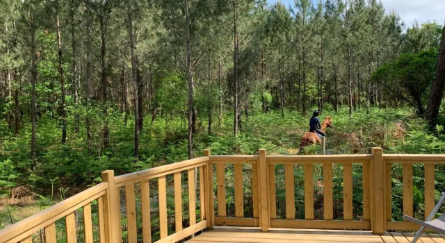 Люкс Deluxe Green Resort