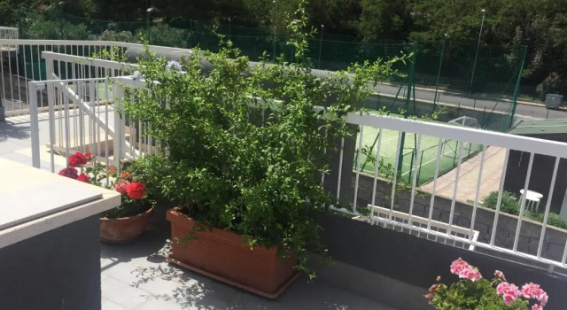Апартаменты Пентхаус Seafront Apartment Il Gabbiano