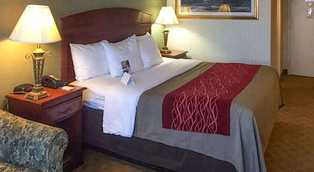 Comfort Inn Springfield