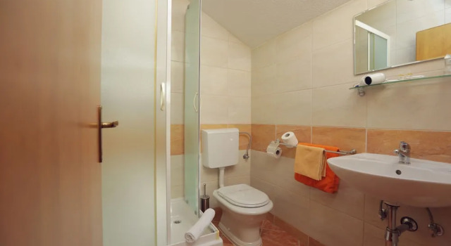 Студия с видом на горы Apartments Vila Adrijana and Fitness Studio Wolf