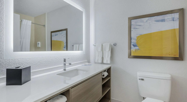 Четырёхместный люкс Comfort Suites West Indianapolis - Brownsburg