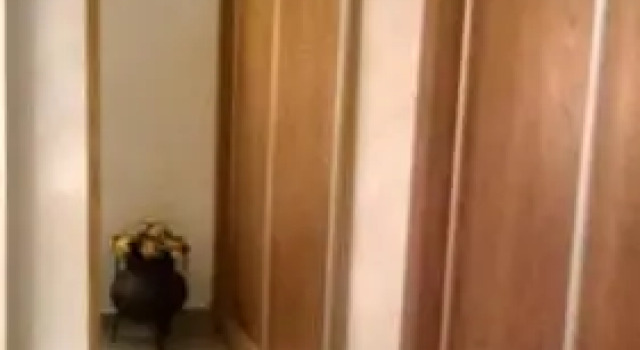 Casa do Pedro, Забронировать Отель Виньяйш 
