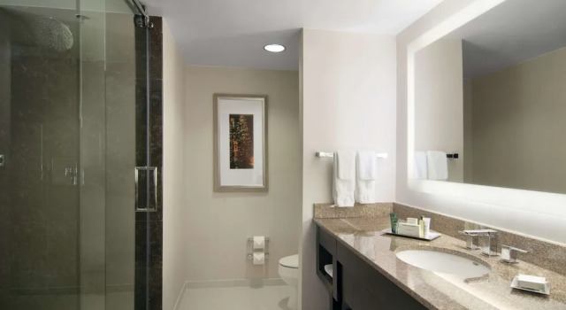 Четырёхместный полулюкс Hilton Atlanta Airport