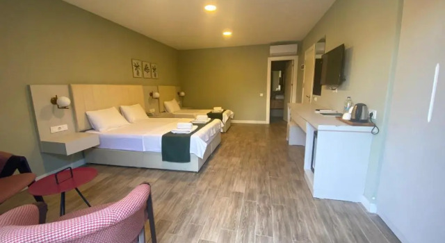 Семейный номер Standard с видом на сад Olivia Hotel