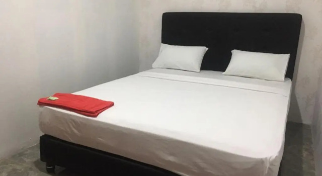 Habitación Estándar Coconut Hotel - Hostel