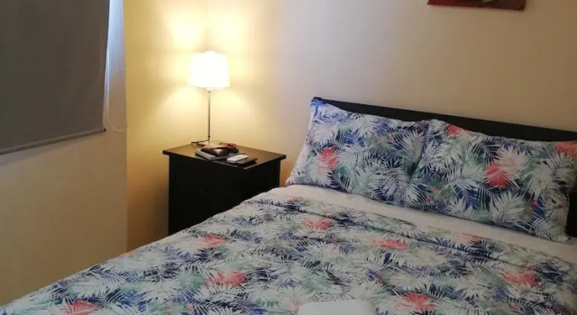 Апартаменты Apartamentos Roman