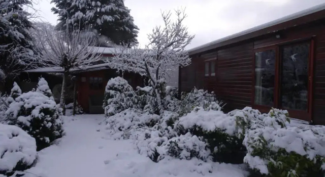Шале Veluwe Park Reewold Chalet Infinity