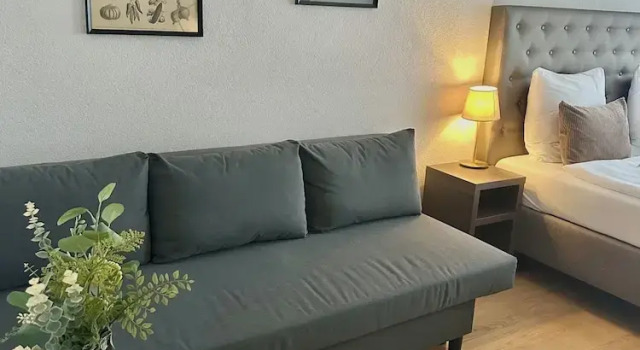Номер Deluxe Hotel Baslertor