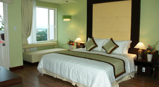 Двухместный полулюкс с видом на парк Park View Hotel