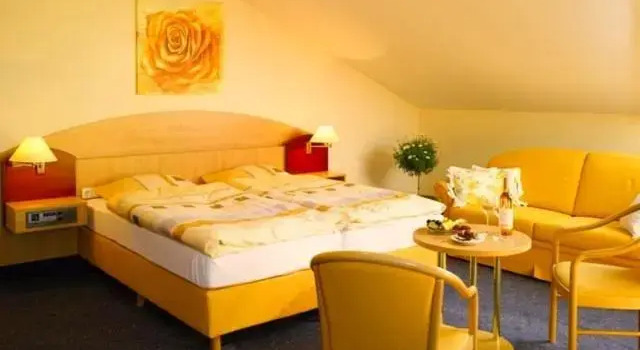 Двухместный номер Comfort Hotel Schoch