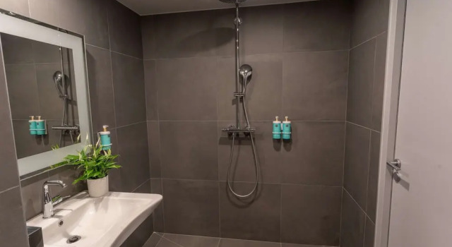 Двухместный номер Classic Novotel Angers Lac de Maine