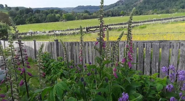 Номер Deluxe Ellerton Lodge Bed and Breakfast Swaledale