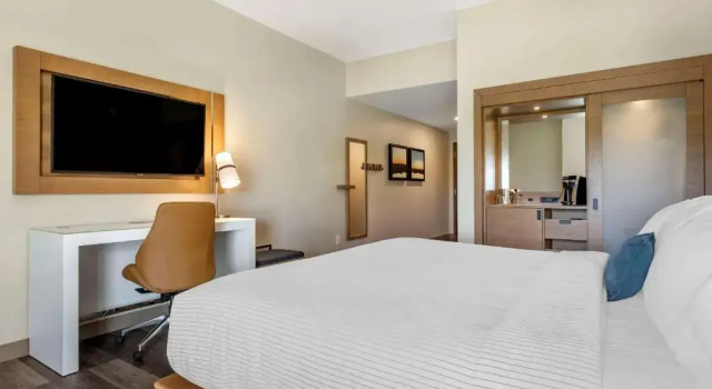 Номер Standard DoubleTree by Hilton Greenville Woodruff Road