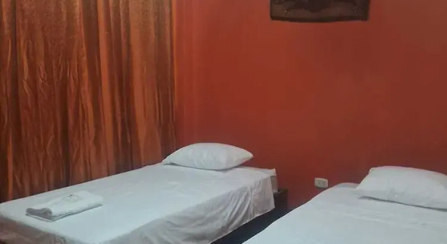 Двухместный номер Standard Plaza Jungle Hostel
