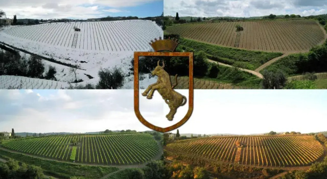 Коттедж с 2 комнатами Colle al Matrichese - Historic Winery