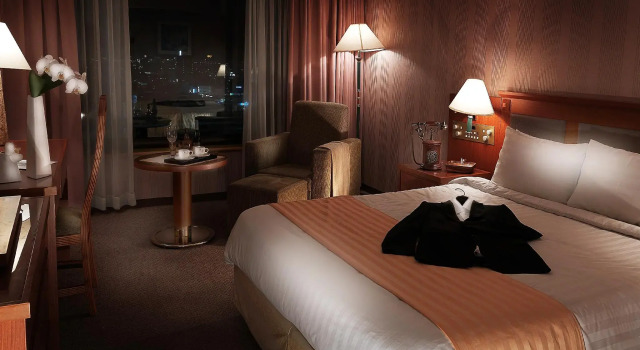 Двухместный номер Deluxe Hotel Paragon