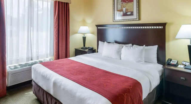 Люкс Comfort Suites Palestine