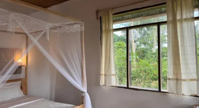 Camera Standard Little Monkey Camp
