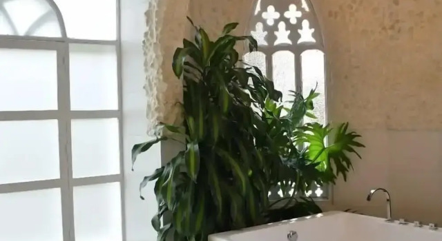 Номер Superior Hotel Mansión Sant Serrant