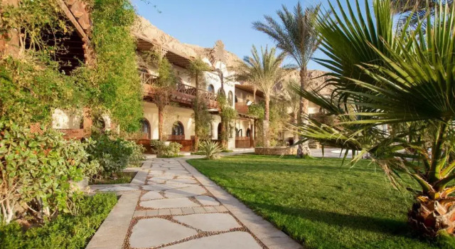 Одноместный номер Standard Dahab Paradise