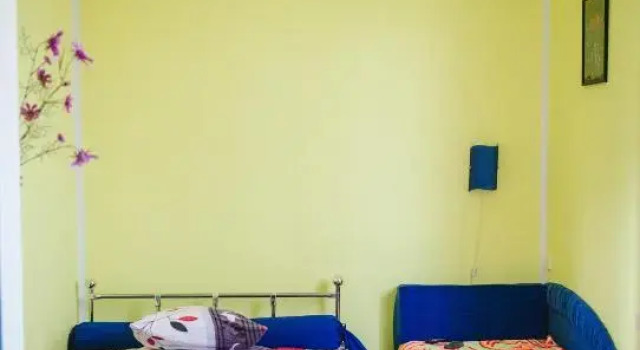 Номер Standard Kolyba Opryshkiv