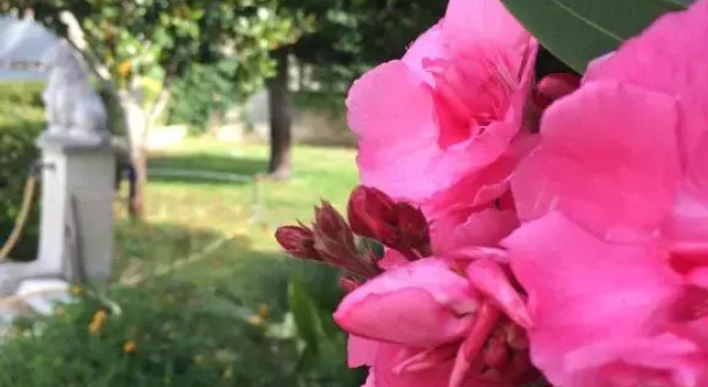 Апартаменты Villa Daniela - Appartamento in villa