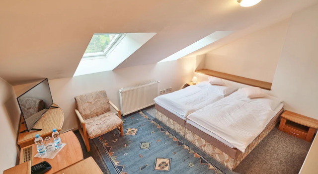 Двухместный номер Standard Hotel Adam Trutnov