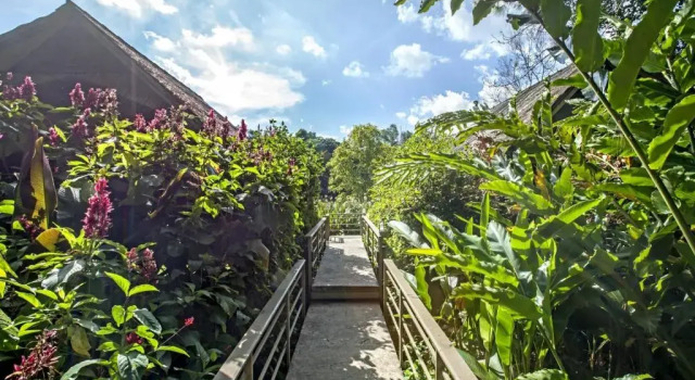 Бунгало Khaokhoherbary OrganicFarm&Resort
