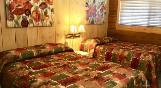 Номер Economy Giant Oaks Lodge